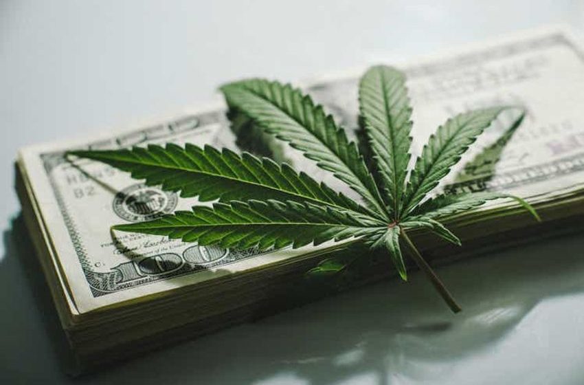  State treasurers group reaffirms support for marijuana banking legislation