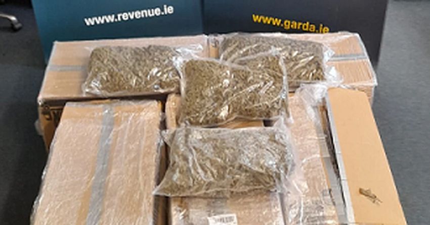  Cannabis with street value of €700,000 seized in Co Cork