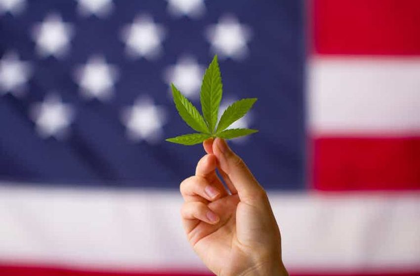  New congressional bill aims to empower small cannabis growers