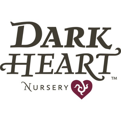  Dark Heart Nursery