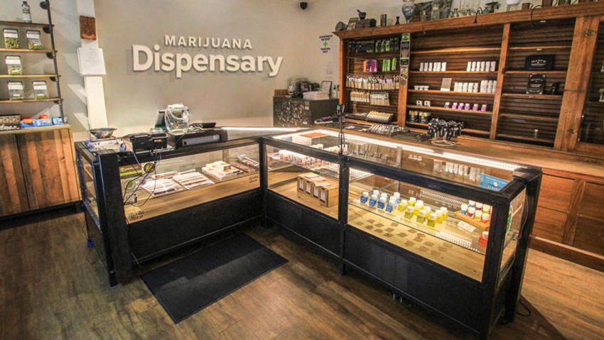  Analysis: Local Bans on Cannabis Retailers Drive Illicit Markets