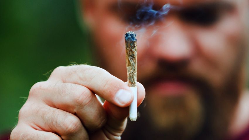  Marijuana with high THC levels linked to addiction, psychiatric illness, study finds