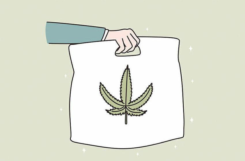  Discover the Power of Weed Delivery Services