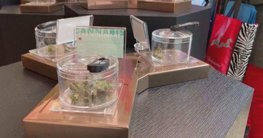  New CA law allows marijuana use for workers who are off-the-clock – Action News Now