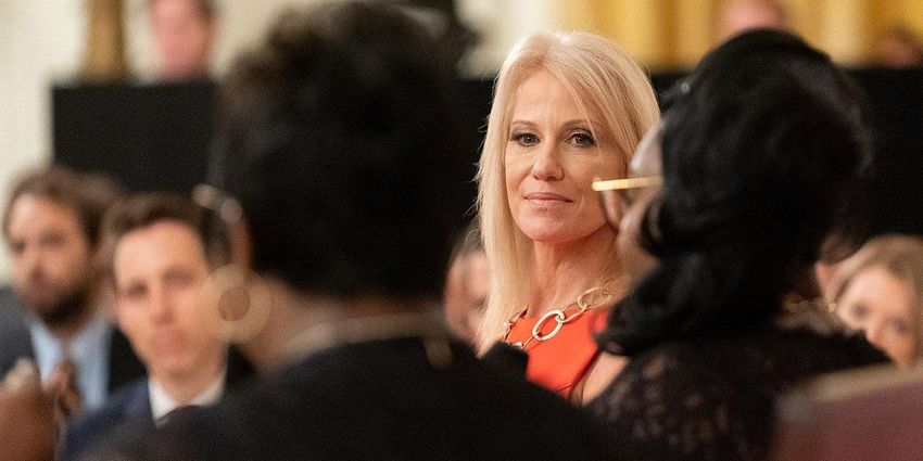  ‘You gaslighting cartoon’: Kellyanne Conway brutally mocked for conflating opioid deaths with marijuana