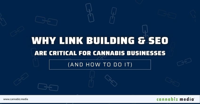  Why Link Building and SEO are Critical for Cannabis Businesses (And How to Do It) | Cannabiz Media