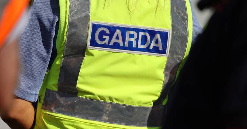  Man held by gardaí after €700,000 drugs find in Cork