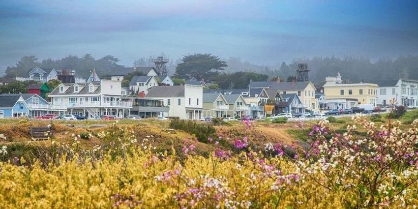  Modern Guide to Mendocino County: Farm-Fresh Eats, Quirky B&Bs + Breathtaking Views