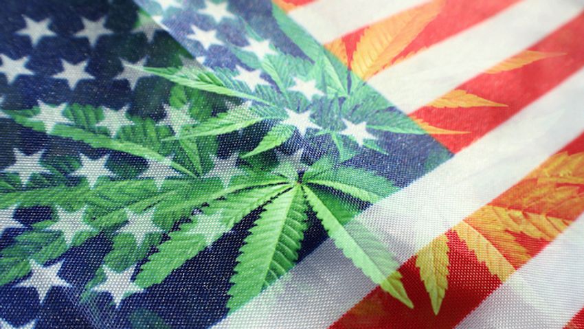  Poll: Most Americans Support Forgiveness for Past Marijuana Crimes, Oppose Cannabis’ Schedule I Status