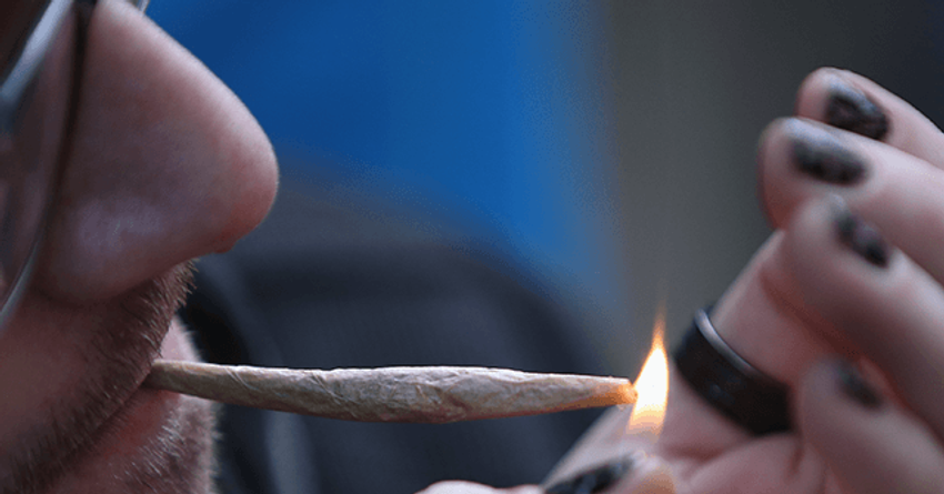  Study: Marijuana Use at Record Levels for Young Adults