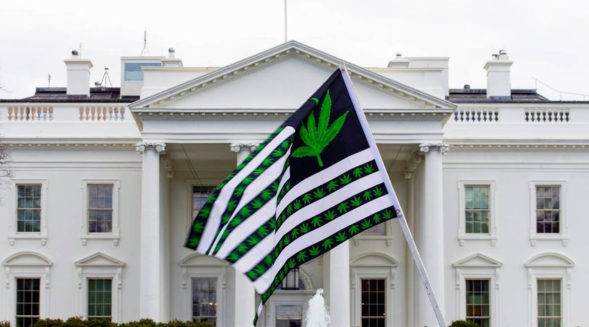  US: What will change if federal marijuana ban is loosened?