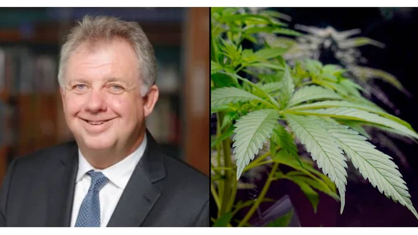  Police Commissioner says cannabis is as dangerous as heroin and crack cocaine