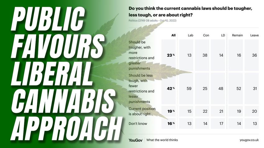  Twice as Many Voters Want More Liberal, Not Tougher, Cannabis Approach