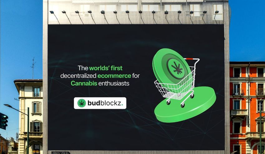  Discover More About Market Leaders Binance, Axie Infinity, and BudBlockz