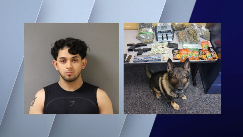  Tip leads to recovery of guns, cannabis & cash at Niles home, resulting in arrest