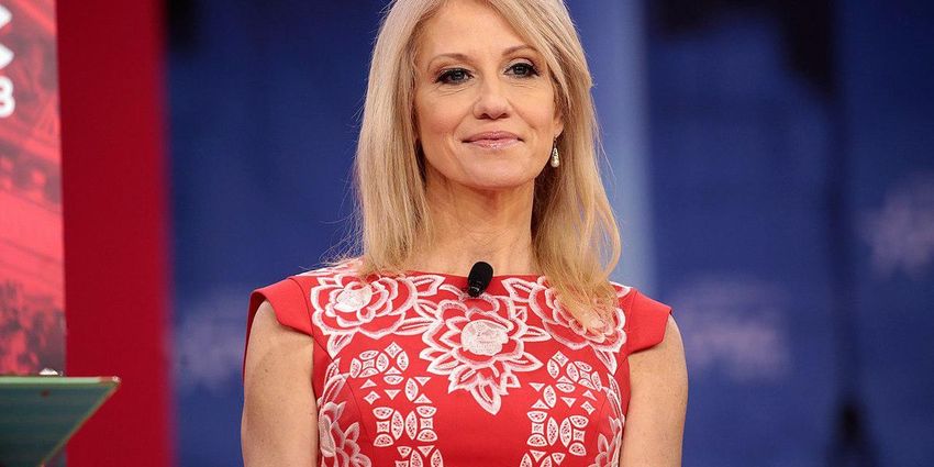  ‘Wants his old job back’: Kellyanne Conway insists Trump is eager to announce his 2024 presidential run