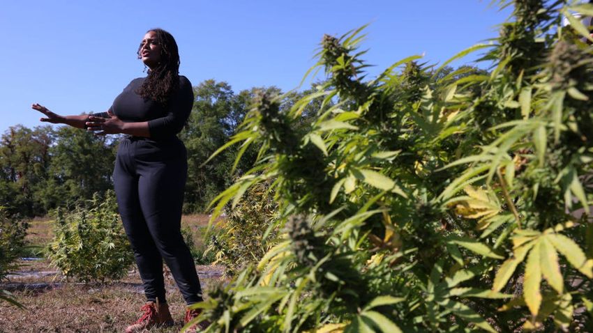  Will Biden’s Marijuana Executive Pardons Lesson the War on Drugs on Black Citizens?