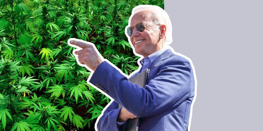  Here’s Hoping Cool Uncle Joe’s Pot Policy Turns Over a New Leaf in the Drug War