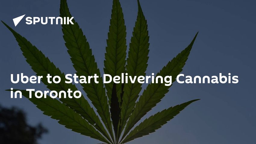  Uber to Start Delivering Cannabis in Toronto