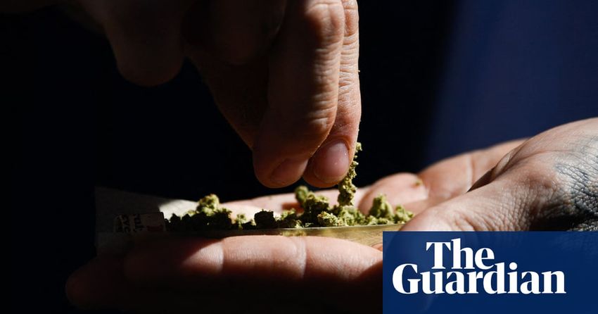  ‘This can be done right’: how Colorado sparked a decade of marijuana reform