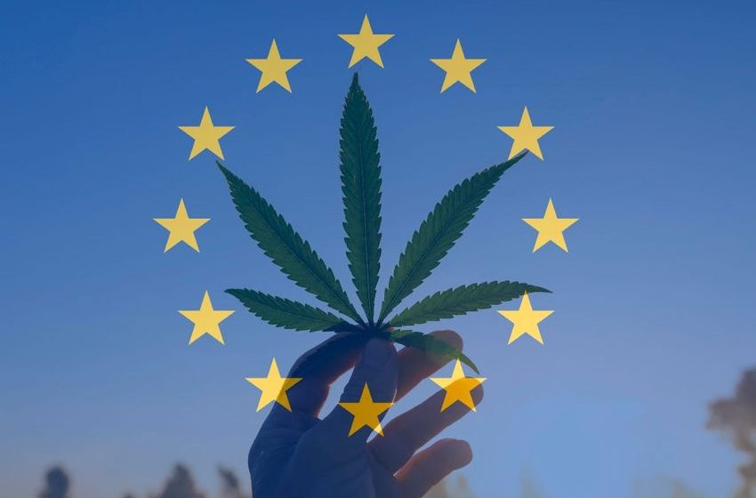  Germany’s Pledge To Legalize Cannabis Is Luring US, Canadian Companies To Invest In Europe