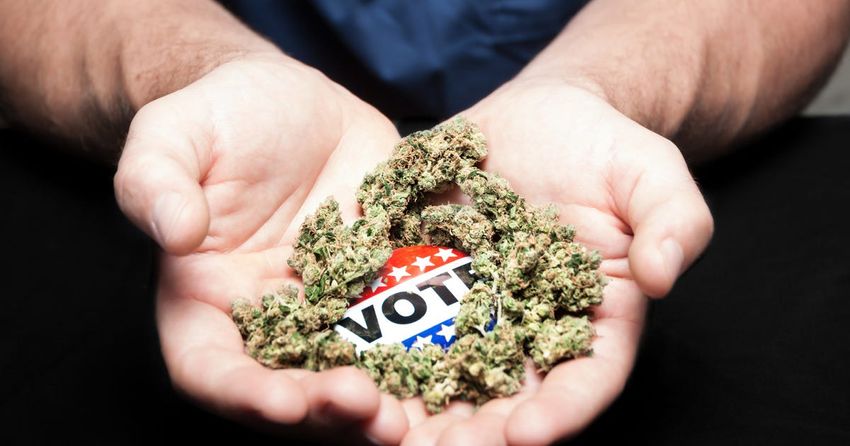  These States Have Put Marijuana Legalization on the November Ballot