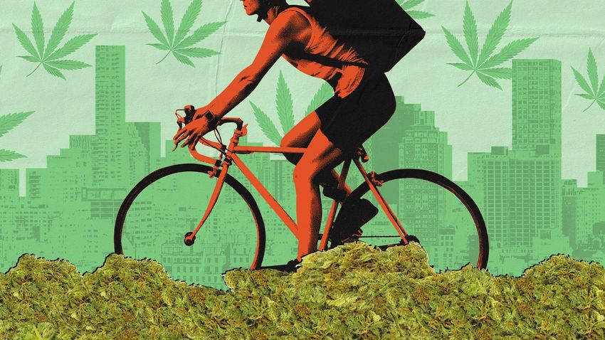  Legalization Could Make Weed Couriers an Endangered Species