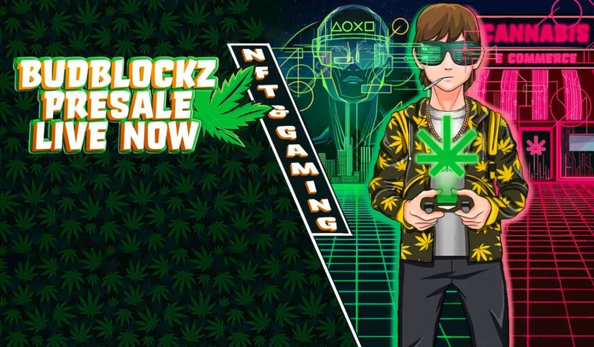  Top Crypto Presales: BudBlockz, Tora Inu and Dash2Trade