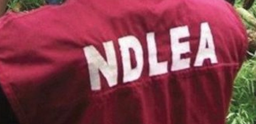  Drug trafficking: NDLEA nabs Sokoto village head, others