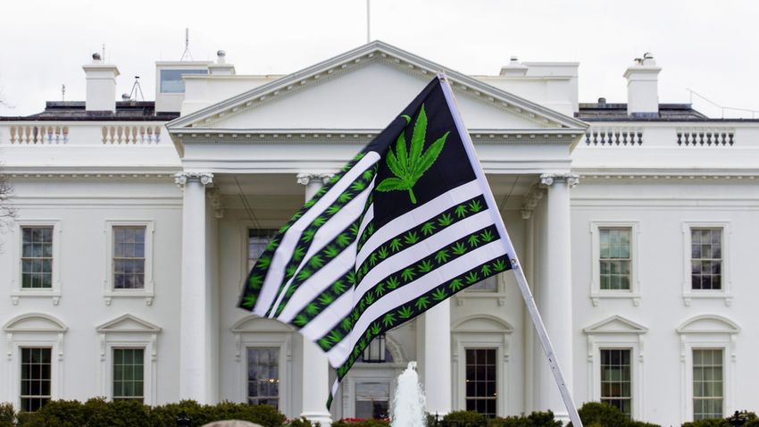  White House pardons cannabis offenders