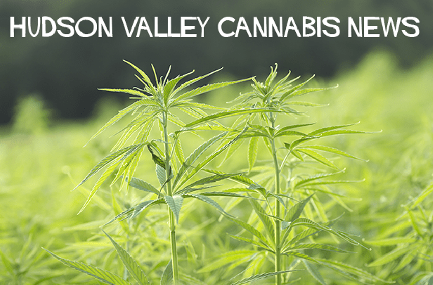  Hudson Valley Cannabis News – Rockland County Business Journal