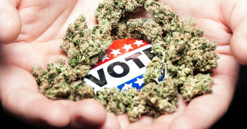  These 5 States Are Voting on Marijuana Legalization on Election Day