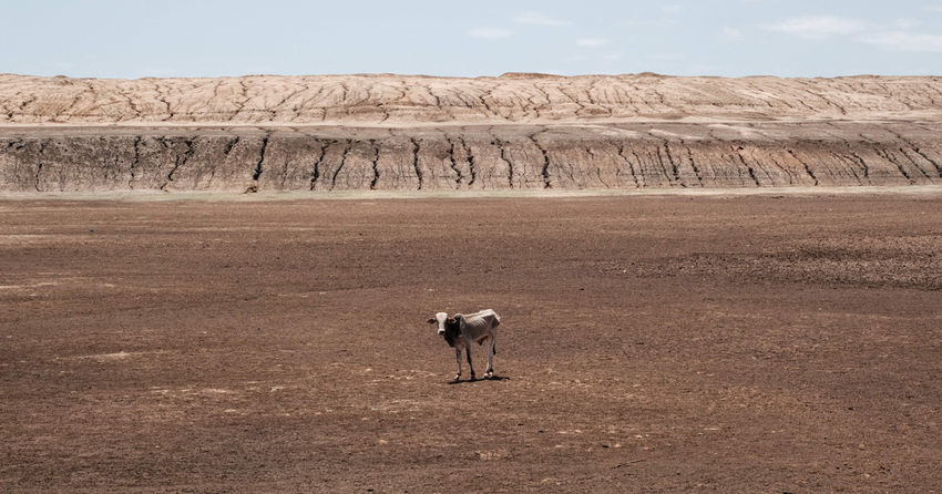  Greenhouse gas emissions hit record highs in 2021 — Quartz Daily Brief – Quartz