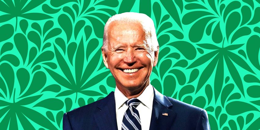  Joe Biden becomes ‘Dank Brandon’ after announcing marijuana pardons