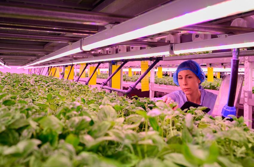  Why Green Thumb Industries’ Shares Were Down 16.8% on Tuesday