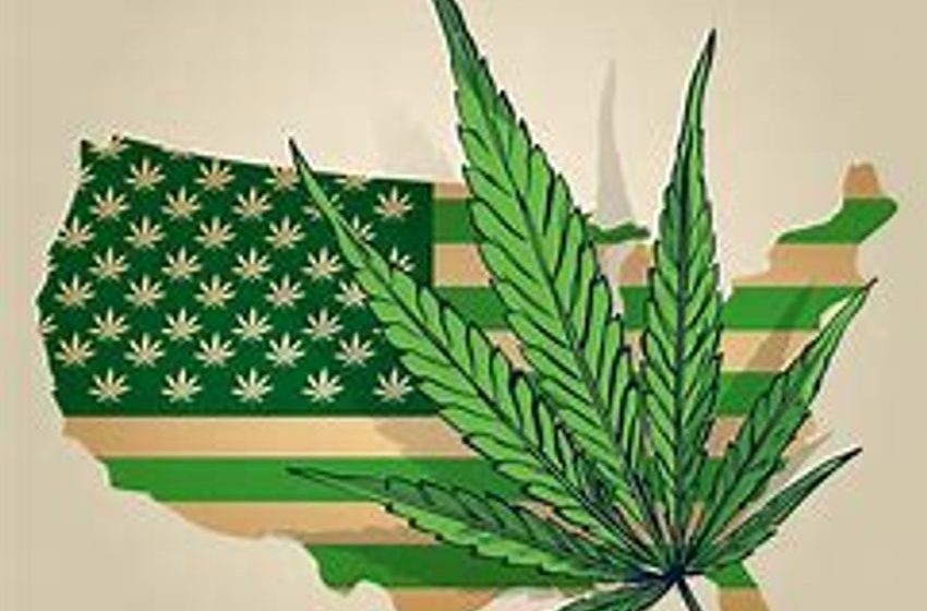  Finding the Best Marijuana Legalization