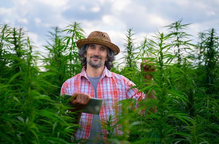  3 Things About Canopy Growth That Smart Investors Know