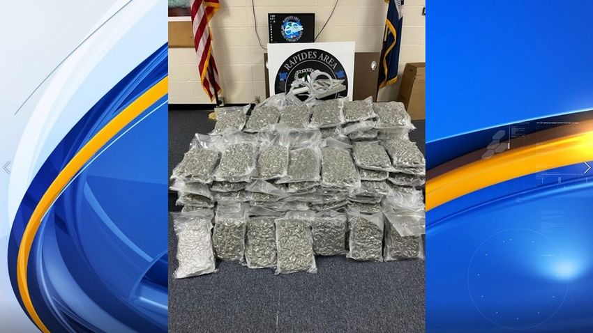  166 lbs of marijuana found during traffic stop in Rapides Parish