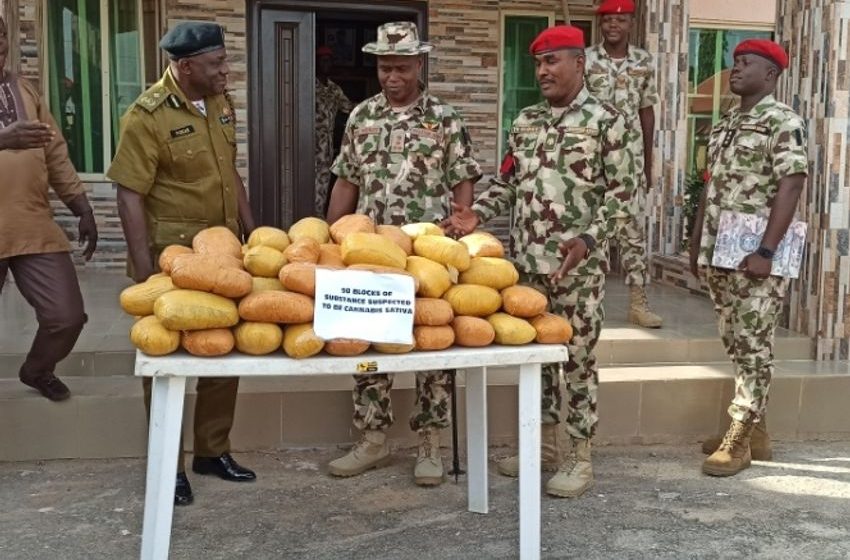  Army intercepts cannabis worth N4.9m in Yobe