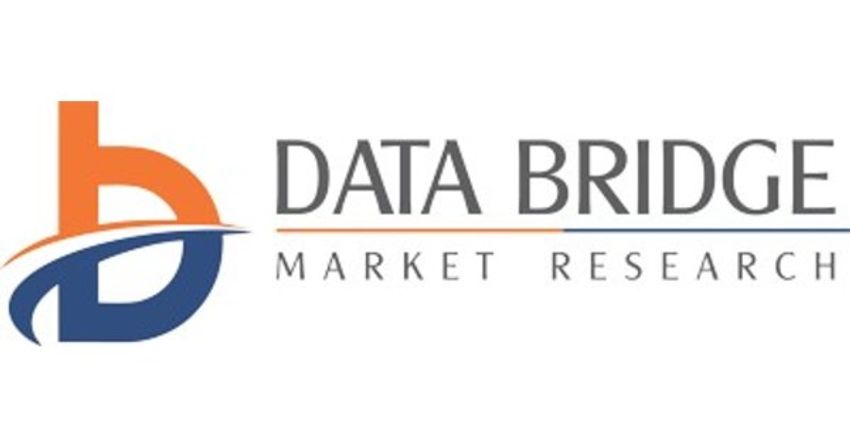  Lower Back Pain Market to Observe Utmost Growth of USD 13421.46 Million by 2029, Size, Share, Trends, Key Drivers, Development Trends and Industry Growth Outlook