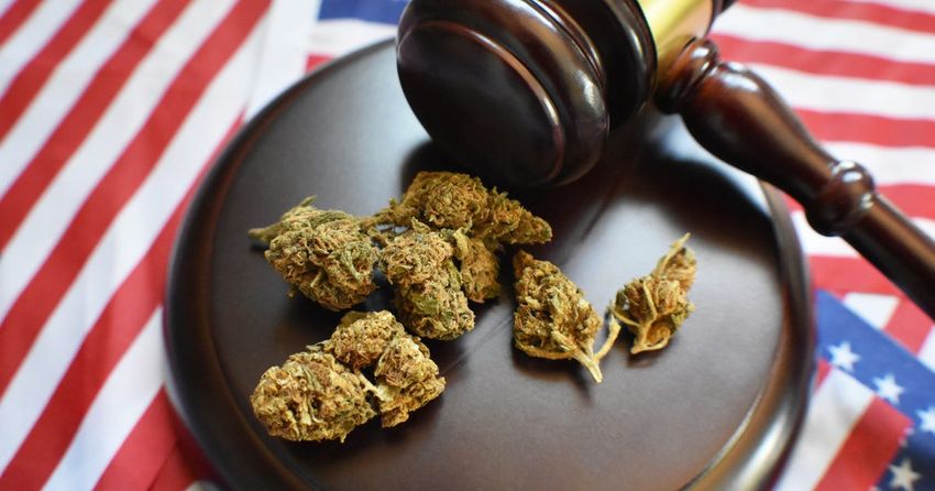  Biden Marijuana Pardon: Cannabis Laws and Decriminalization Status In Your State