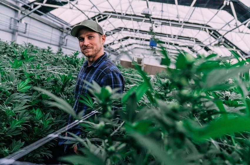  Where Will Tilray Brands Be in 10 Years?