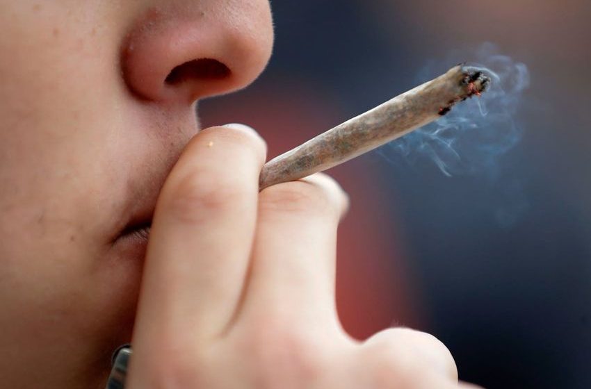  Germany drafts plans to legalise cannabis