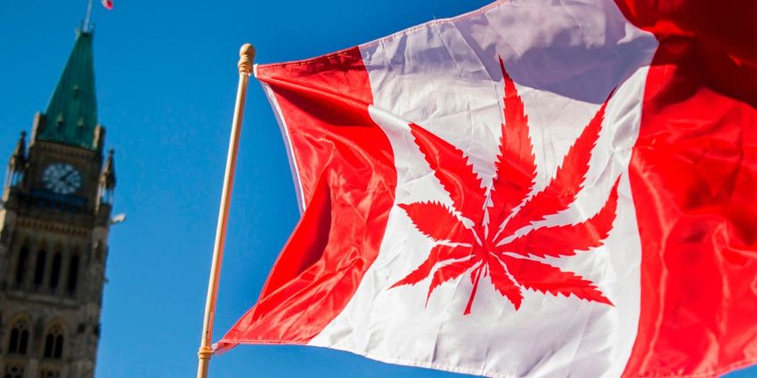  Cannabis Watch: Bernstein launches coverage of Canada’s Tilray, Cronos and Canopy Growth but stops short of any buy ratings