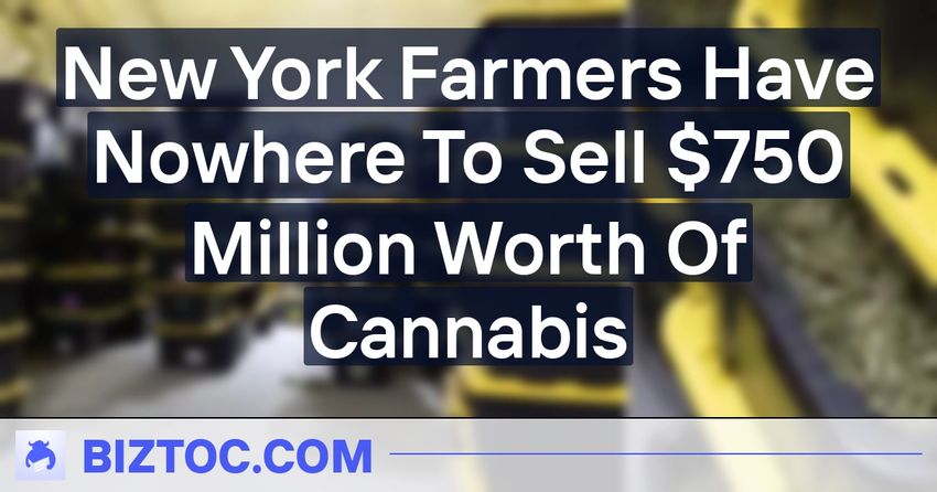  New York Farmers Have Nowhere To Sell $750 Million Worth Of Cannabis