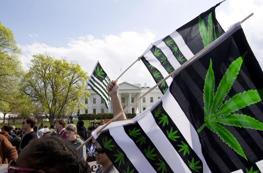  Maryland legalizes marijuana; 4 other states also voting – The Associated Press – en Español