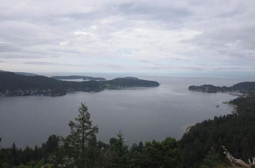  State of emergency extended for drought-stricken Sechelt, B.C., no end in sight