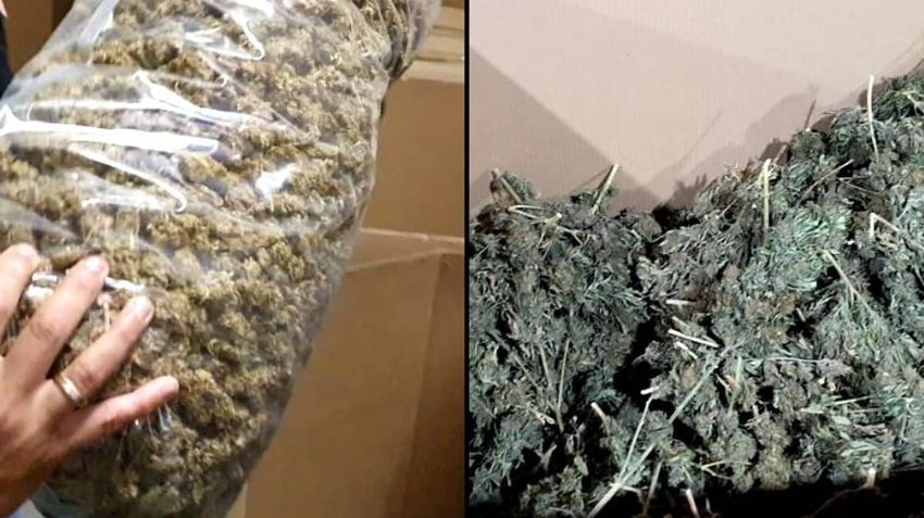  Spanish police seize largest amount of marijuana ever worth £56 million