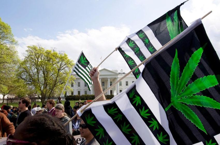  Maryland legalizes marijuana; 4 other states also voting