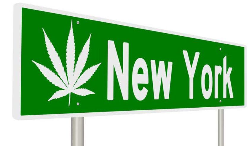  New York issues first marijuana dispensary licenses